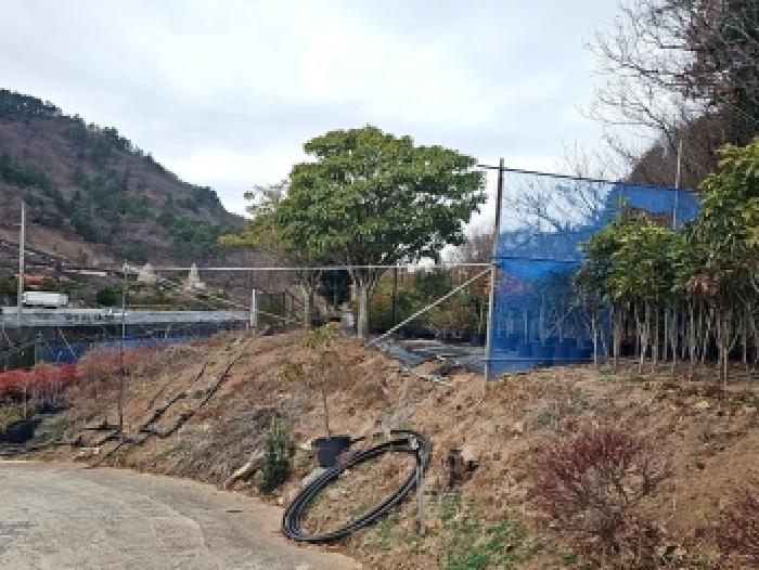전남 해남군 현산면 도로 경매 물건 사진 4 · 2025타경50749