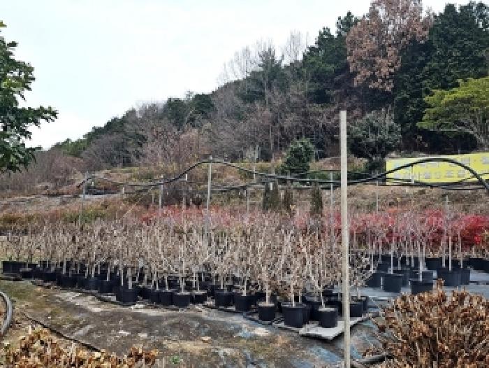 전남 해남군 현산면 도로 경매 물건 사진 5 · 2025타경50749