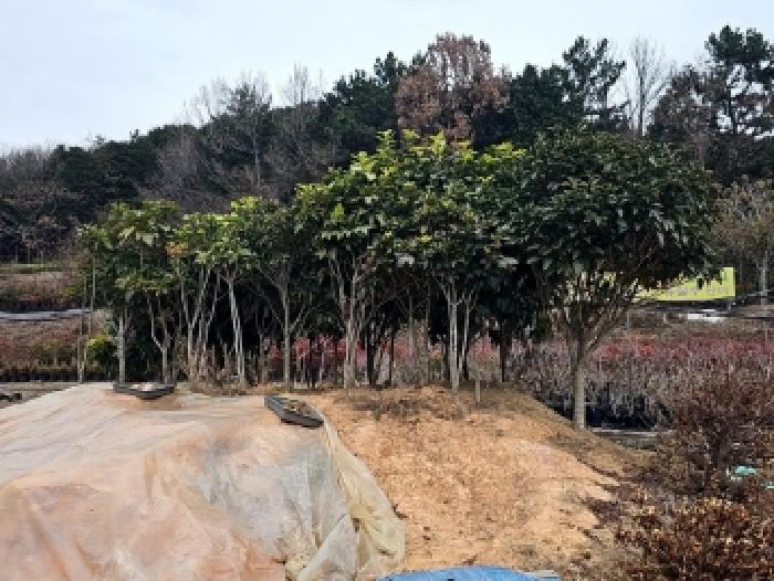 전남 해남군 현산면 도로 경매 물건 사진 6 · 2025타경50749