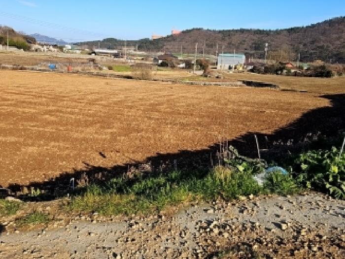 전남 해남군 화원면 전 경매 물건 사진 2 · 2025타경50751