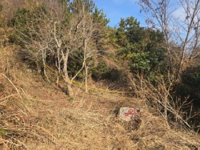 전남 해남군 황산면 전 경매 물건 사진
