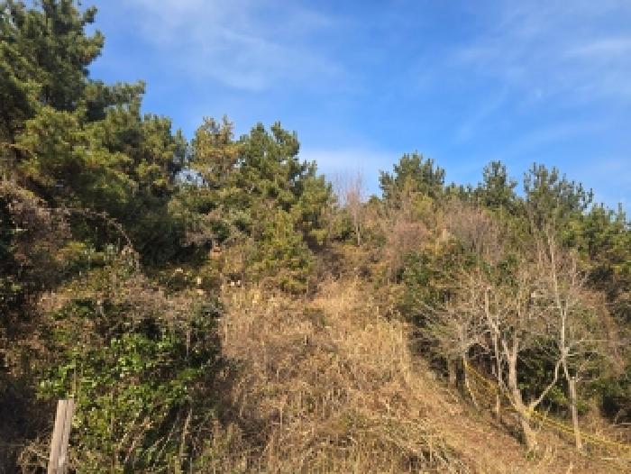 전남 해남군 황산면 전 경매 물건 사진 3 · 2025타경50764