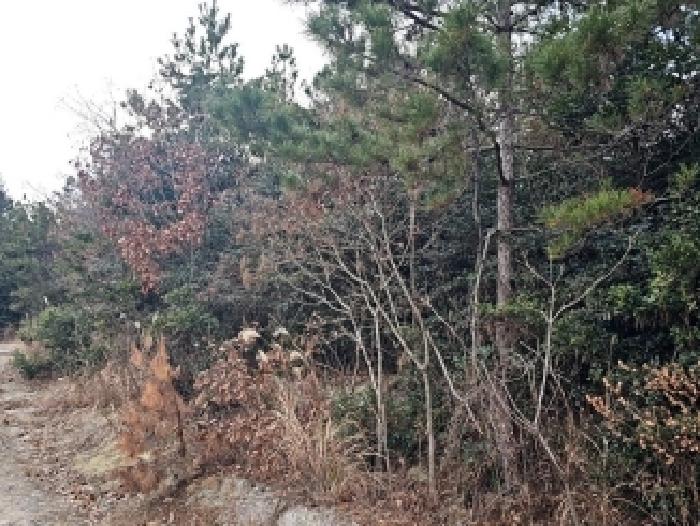 전남 해남군 황산면 전 경매 물건 사진 5 · 2025타경50764