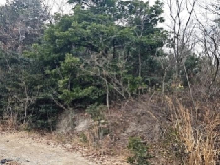 전남 해남군 황산면 전 경매 물건 사진 6 · 2025타경50764