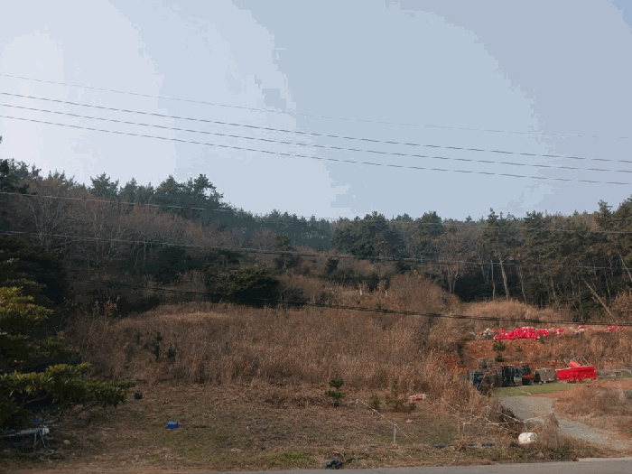 전남 해남군 송지면 전 경매 물건 사진 5 · 2025타경50766