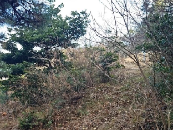 전남 해남군 송지면 전 경매 물건 사진 3 · 2025타경50766