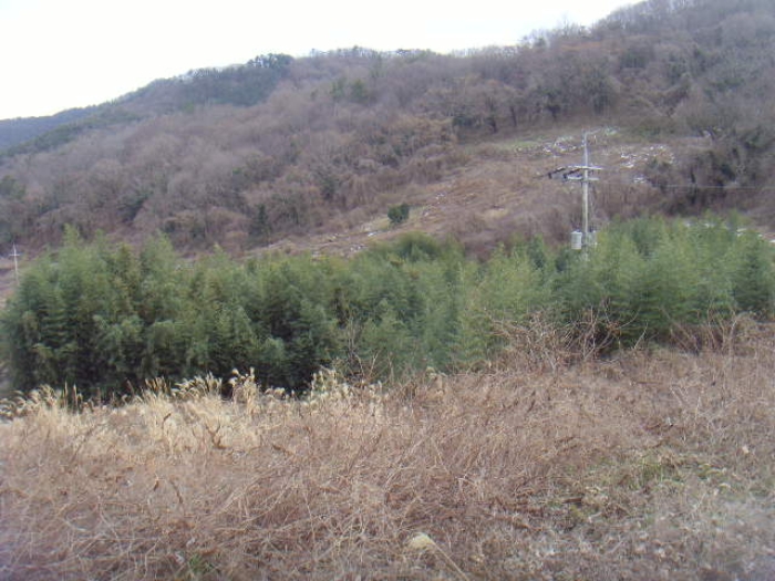전남 해남군 화원면 임야 경매 물건 사진 6 · 2025타경518