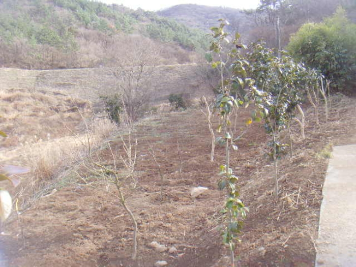 전남 진도군 고군면 답 경매 물건 사진 3 · 2025타경556