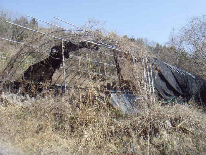전남 진도군 고군면 창고시설 경매 물건 사진 5 · 2025타경655