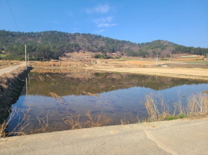 전남 진도군 군내면 전답 경매 물건 사진