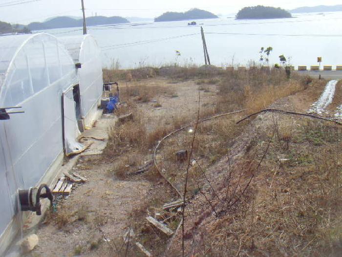 전남 진도군 군내면 동물및식물관련시설 경매 물건 사진 5 · 2025타경822