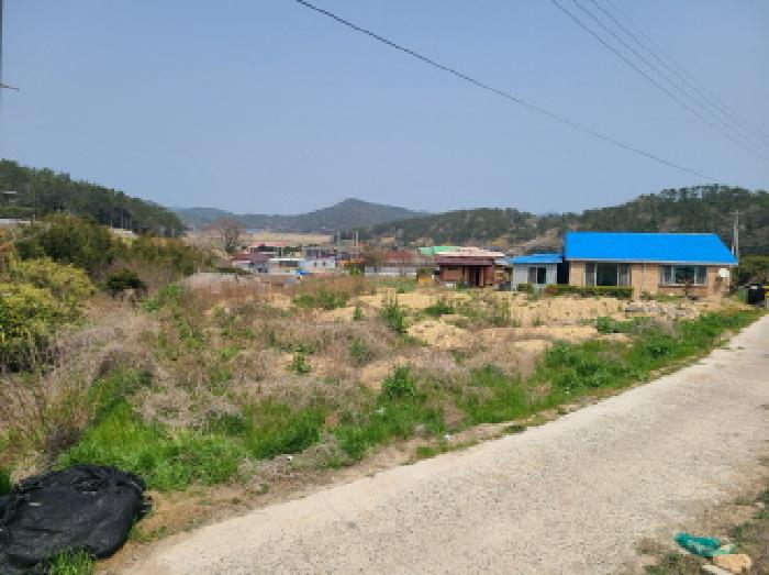전남 진도군 조도면 대지 경매 물건 사진 4 · 2025타경921