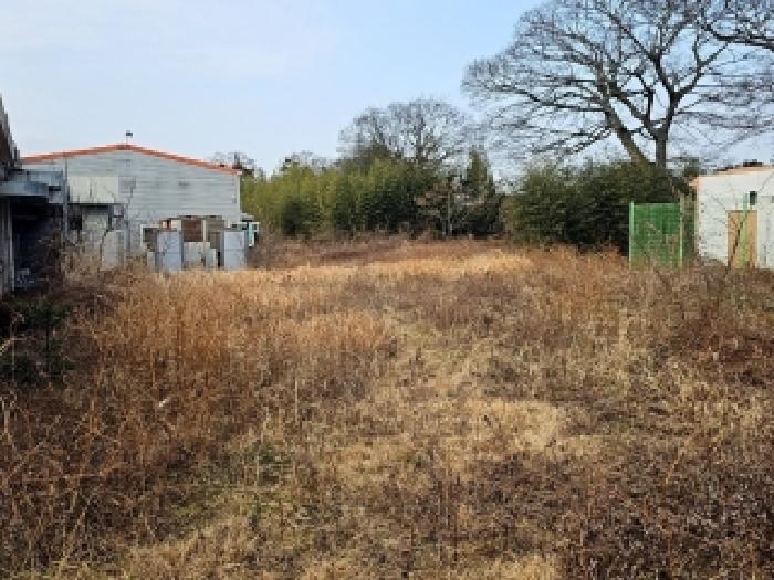 전남 진도군 임회면 대지 경매 물건 사진 3 · 2026타경1005