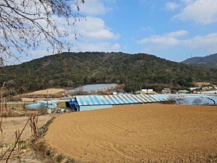전남 해남군 화원면 임야 경매 물건 사진
