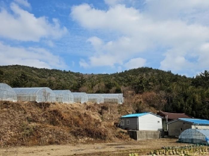 전남 해남군 화원면 임야 경매 물건 사진 3 · 2026타경1006