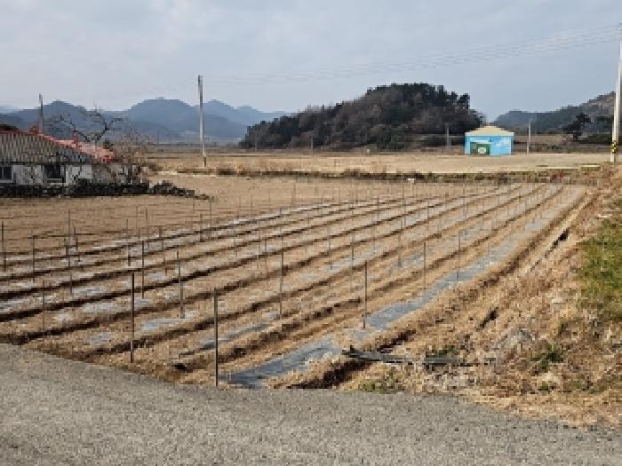 전남 진도군 의신면 전답 경매 물건 사진
