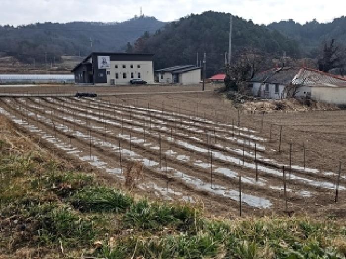 전남 진도군 의신면 전답 경매 물건 사진 2 · 2026타경1010