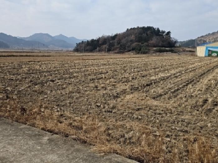 전남 진도군 의신면 전답 경매 물건 사진 4 · 2026타경1010