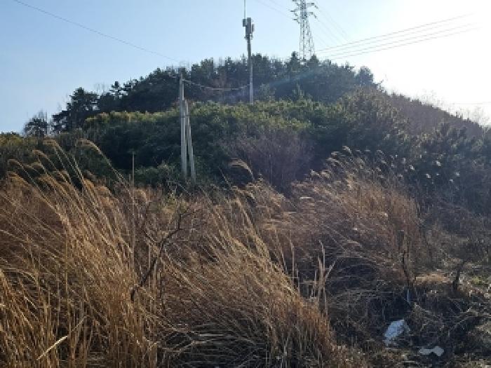 전남 해남군 산이면 대지 경매 물건 사진