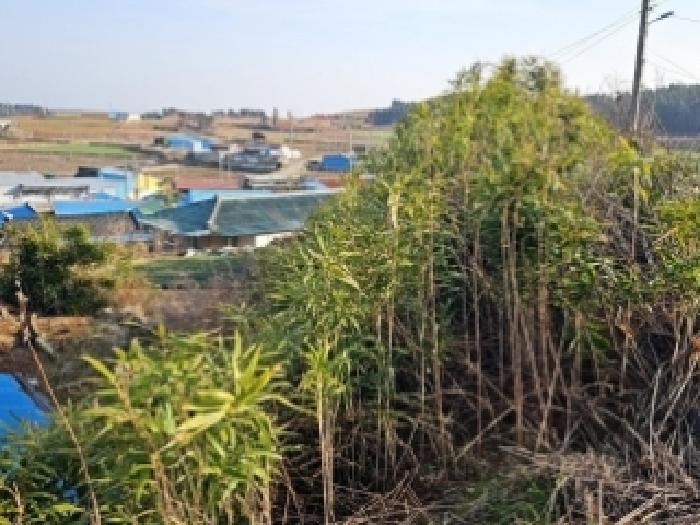 전남 해남군 산이면 대지 경매 물건 사진 2 · 2026타경1015