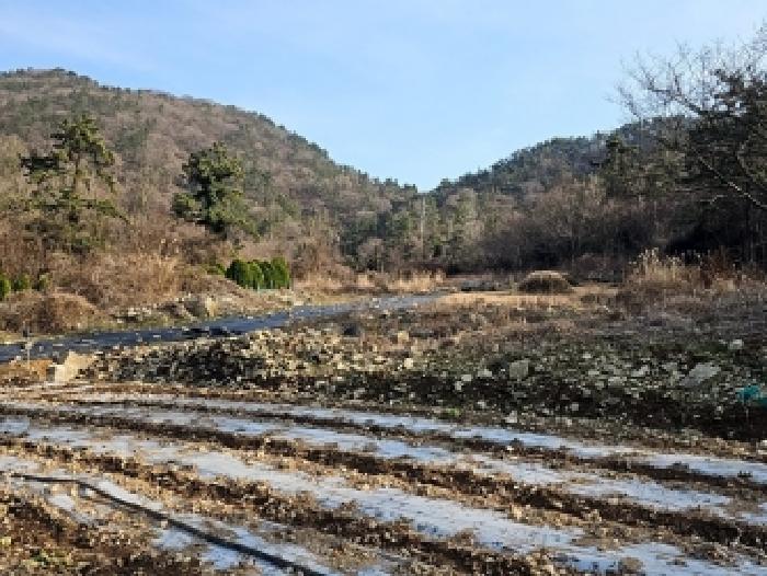 전남 해남군 산이면 대지 경매 물건 사진 4 · 2026타경1015