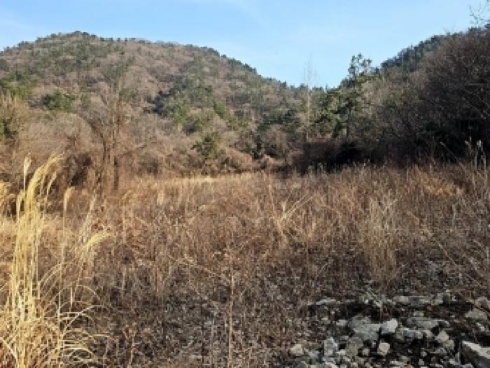 전남 해남군 산이면 대지 경매 물건 사진 6 · 2026타경1015