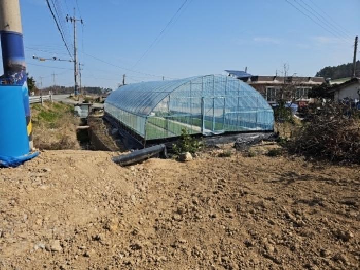 전남 진도군 군내면 답 경매 물건 사진