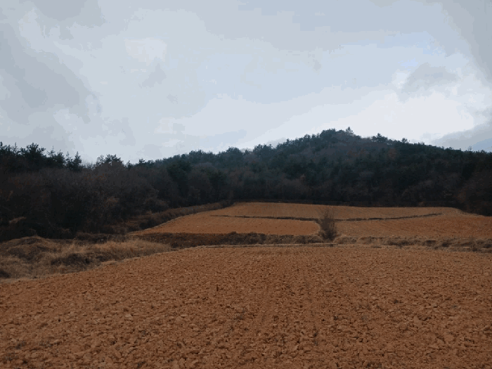 전남 해남군 북일면 임야 경매 물건 사진 5 · 2026타경50001