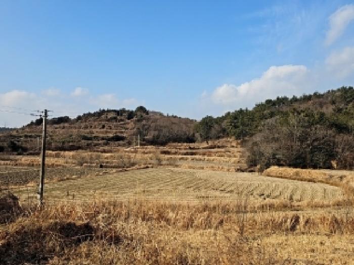 전남 해남군 북일면 임야 경매 물건 사진
