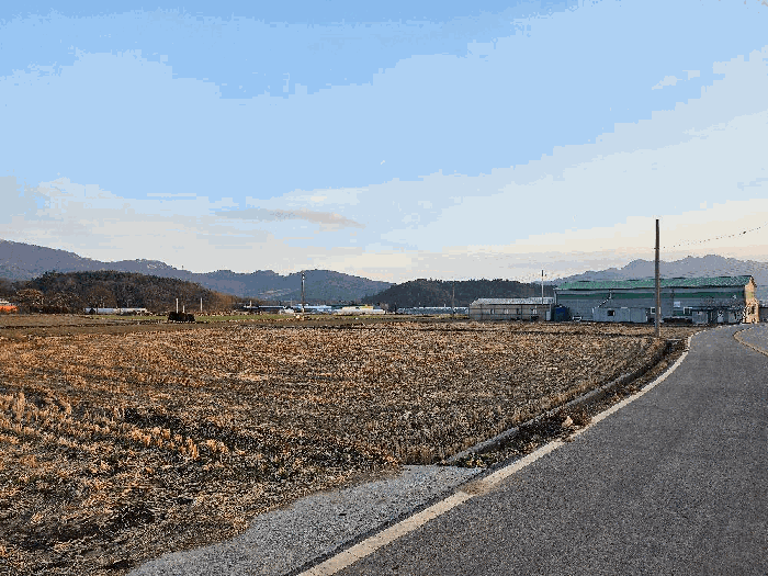 전남 해남군 현산면 답 경매 물건 사진 6 · 2026타경50021