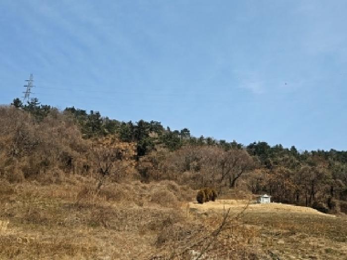 전남 해남군 화원면 임야 경매 물건 사진 4 · 2026타경50043