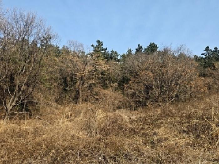 전남 해남군 화원면 임야 경매 물건 사진 5 · 2026타경50043