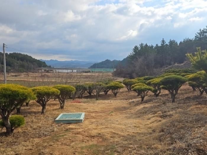 전남 해남군 계곡면 전답 경매 물건 사진