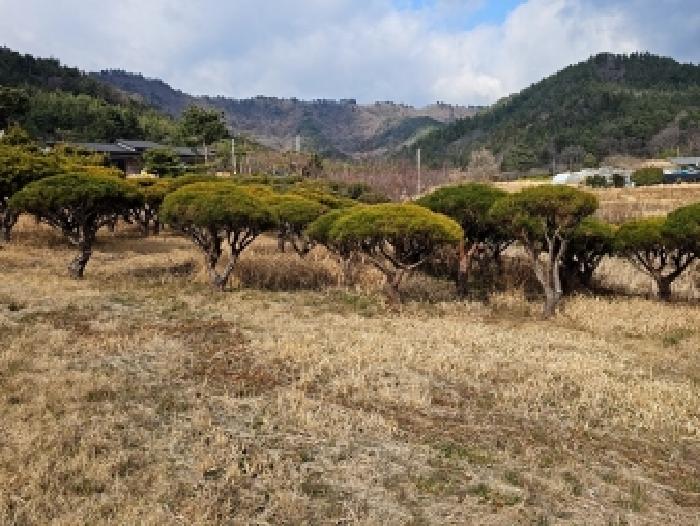 전남 해남군 계곡면 전답 경매 물건 사진 4 · 2026타경50047