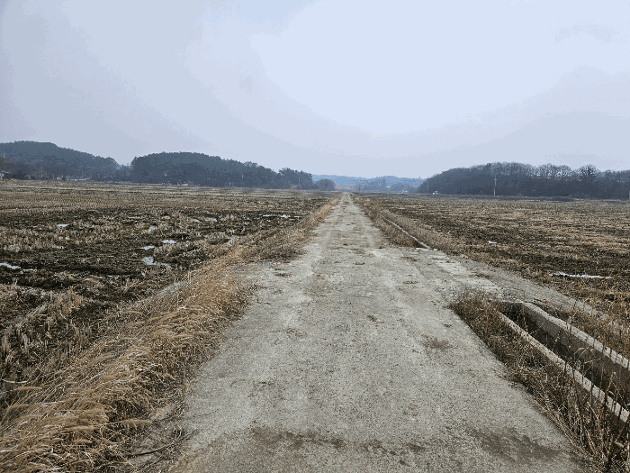 전남 해남군 황산면 전답 경매 물건 사진 5 · 2026타경50069