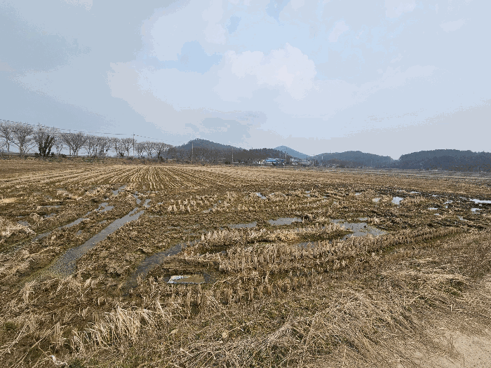 전남 해남군 황산면 전답 경매 물건 사진 6 · 2026타경50069