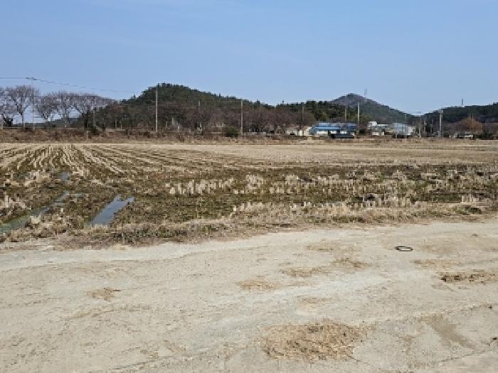 전남 해남군 황산면 전답 경매 물건 사진