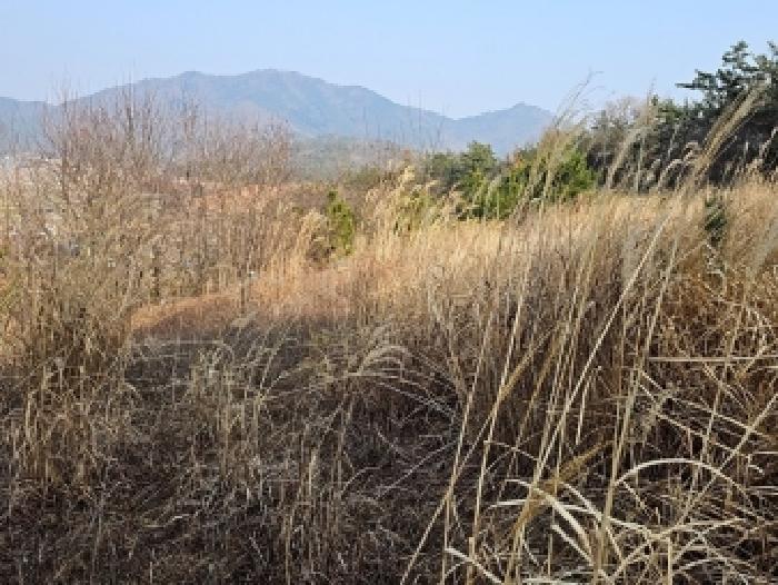 전남 해남군 해남읍 전답 경매 물건 사진
