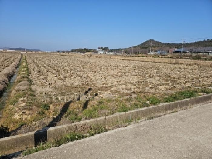 전남 진도군 군내면 전답 경매 물건 사진