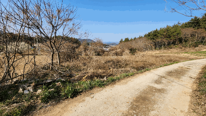전남 완도군 고금면 대지,임야,전답 경매 물건 사진 4 · 2026타경50082