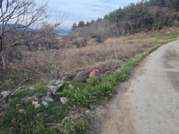 전남 완도군 고금면 대지,임야,전답 경매 물건 사진