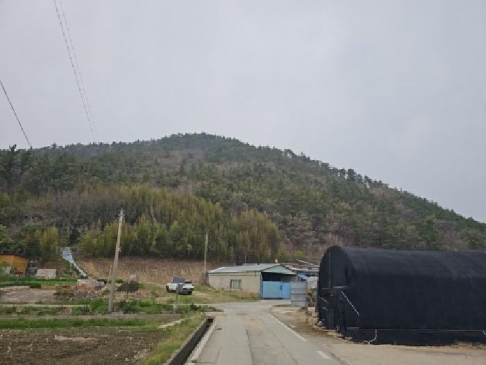 전남 해남군 삼산면 임야 경매 물건 사진