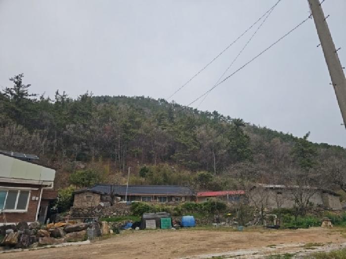 전남 해남군 삼산면 임야 경매 물건 사진 2 · 2026타경50090