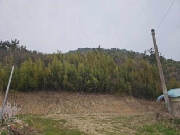 전남 해남군 삼산면 임야 경매 물건 사진 3 · 2026타경50090
