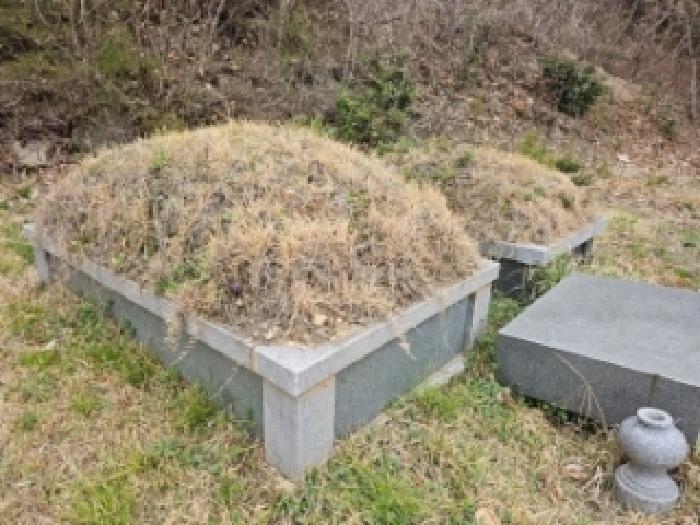 전남 해남군 삼산면 임야 경매 물건 사진 4 · 2026타경50090