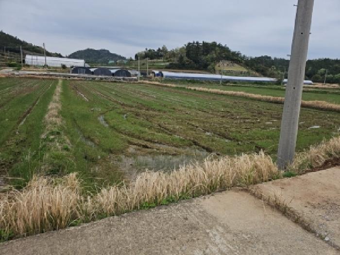 전남 진도군 지산면 전답 경매 물건 사진