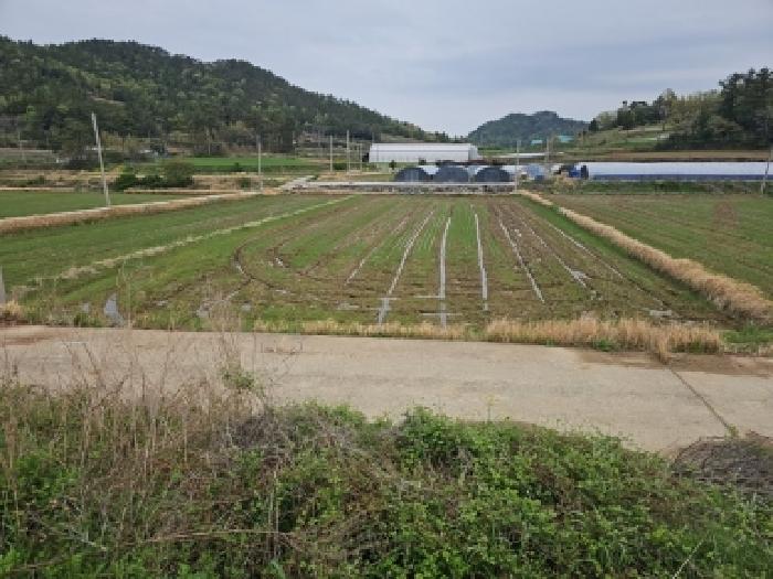 전남 진도군 지산면 전답 경매 물건 사진 2 · 2026타경50118