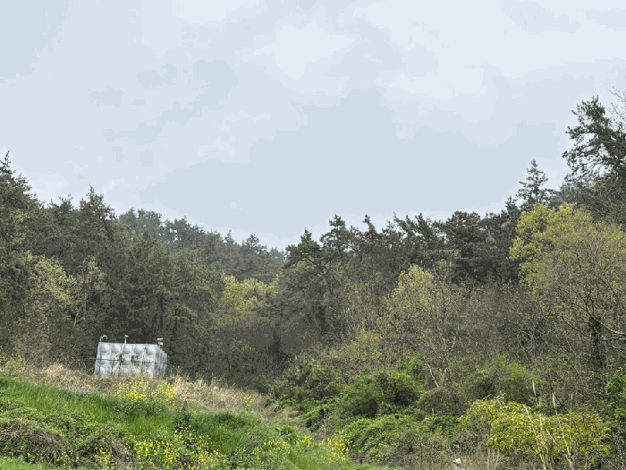 전남 해남군 현산면 임야 경매 물건 사진 6 · 2026타경50119