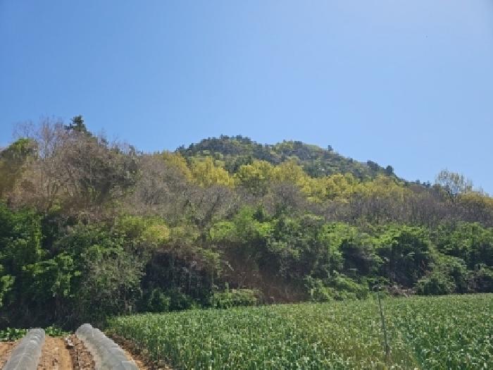 전남 해남군 현산면 임야 경매 물건 사진 2 · 2026타경50119