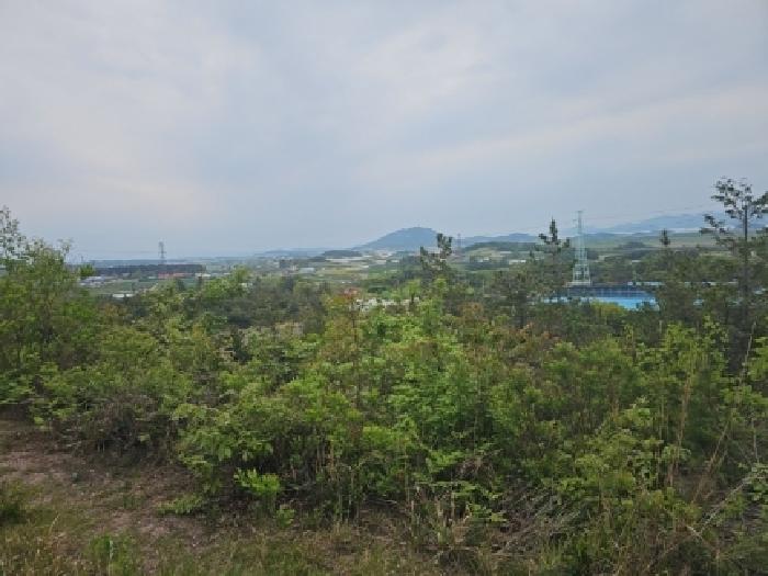 전남 해남군 문내면 임야 경매 물건 사진 2 · 2026타경50137